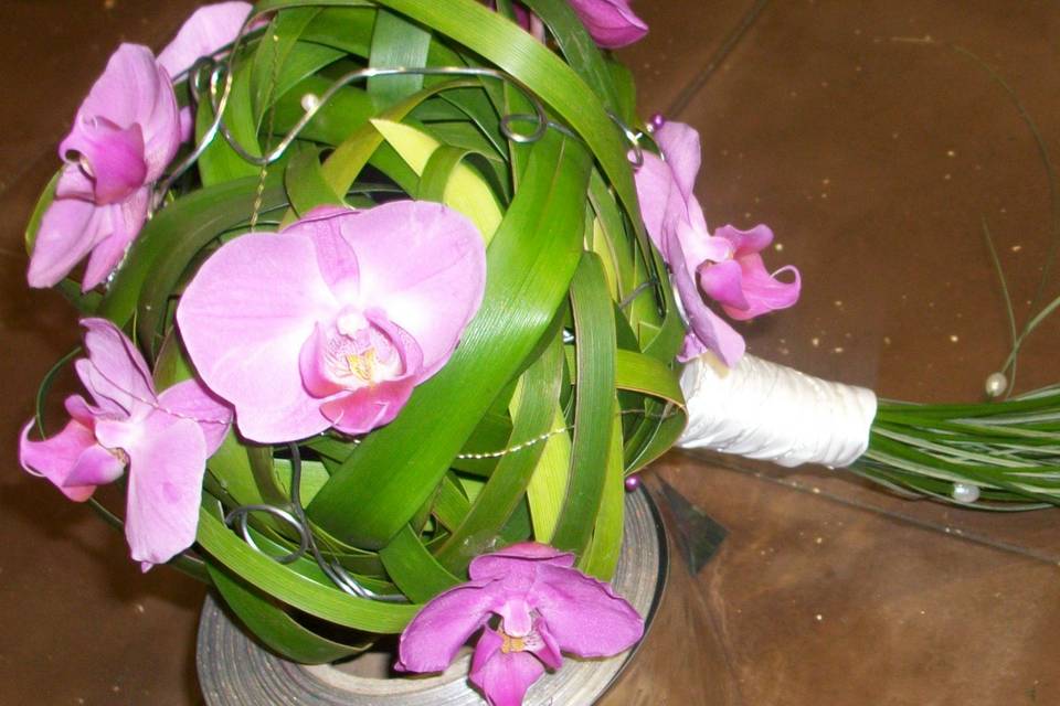 Ramo vegetal de orquídeas