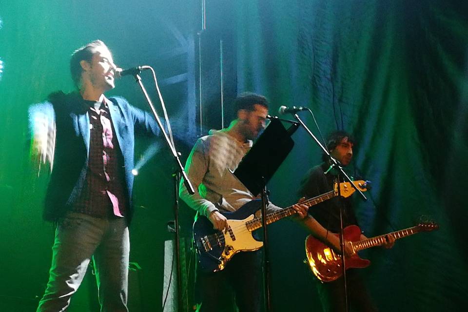 Músicos profesionales