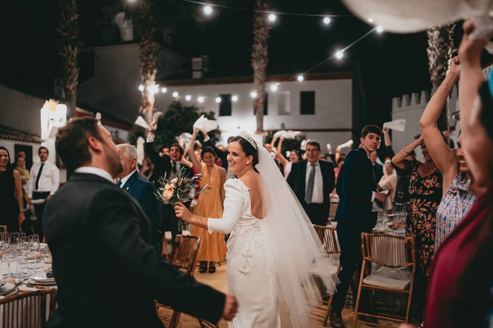 Novios