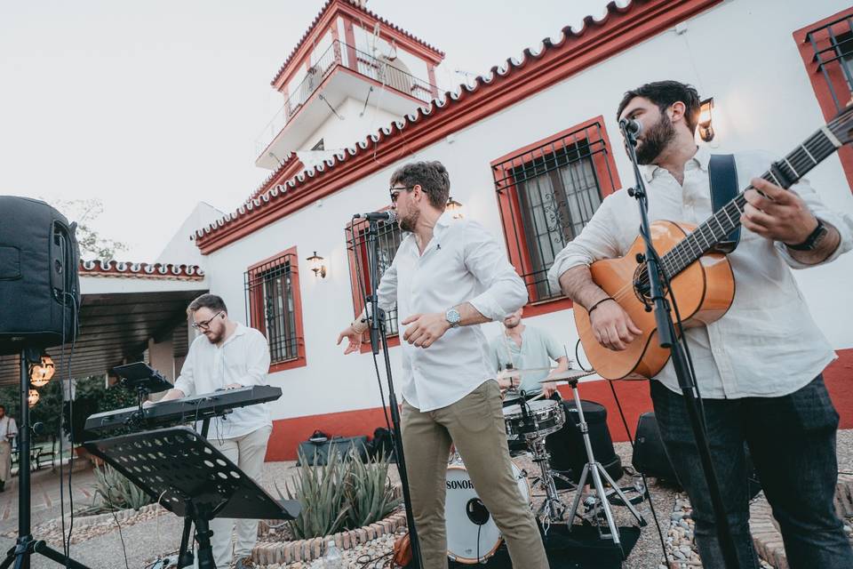 Grupo en directo