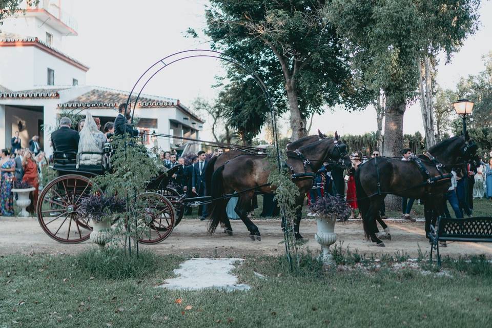Coche de caballos