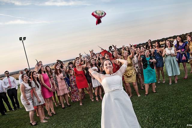 Lanzamiento del ramo