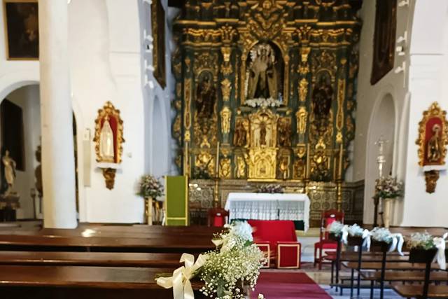 Coimbra Arte Floral