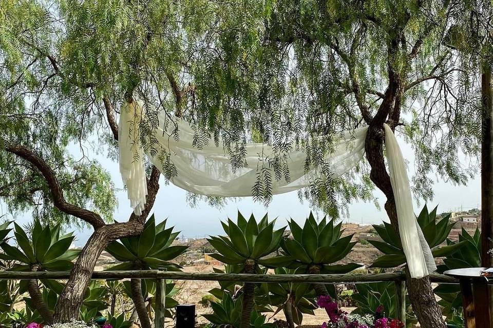 Feledi Bodas & Eventos