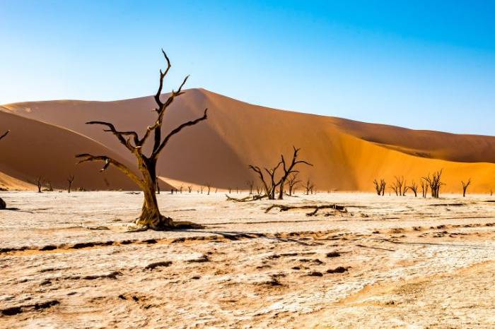 Luna de miel en Namibia