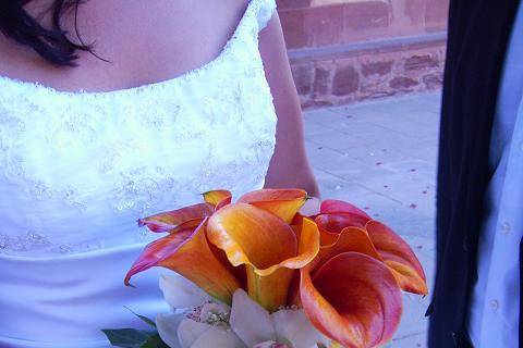 Calas Mango y orquidea