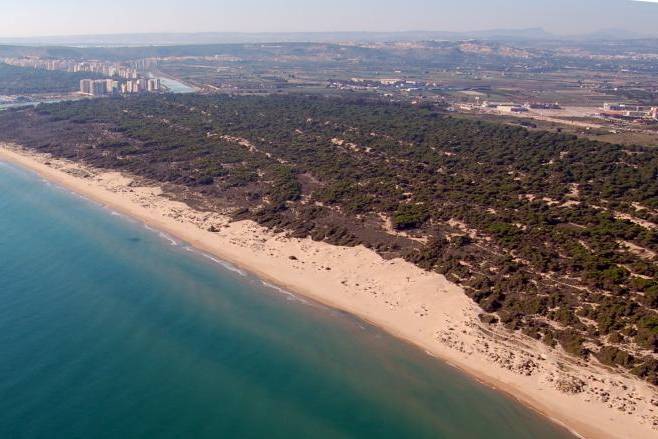 Hotel Playas de Guardamar