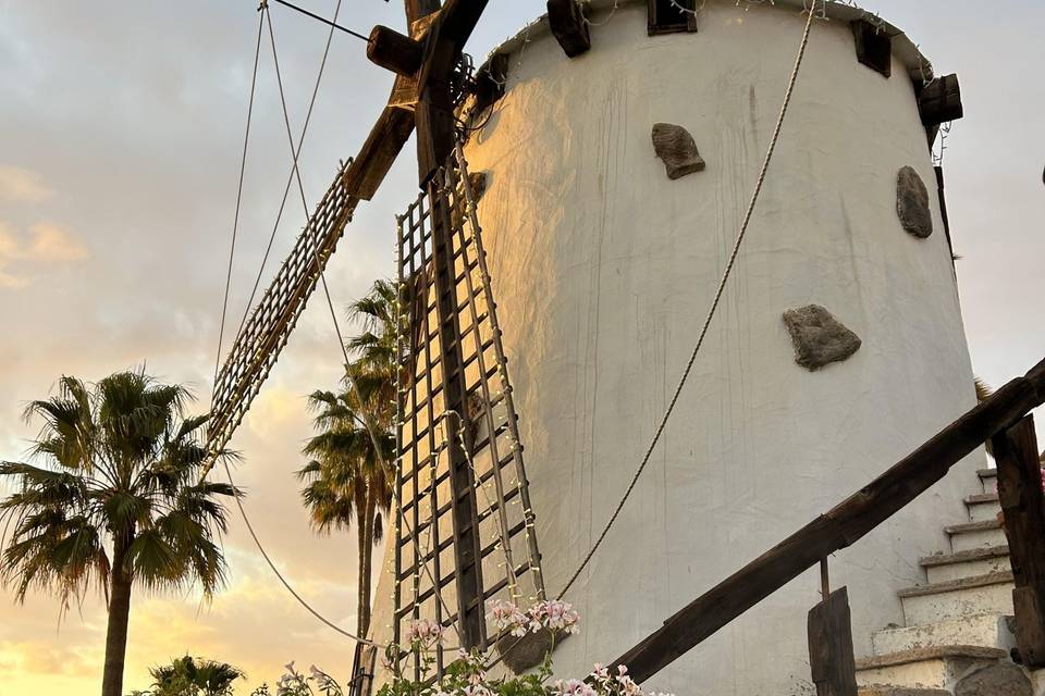 Molino