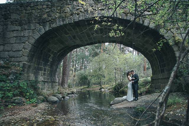 Love lion wedding