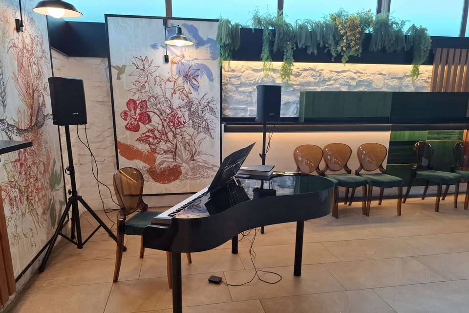 Piano de cola