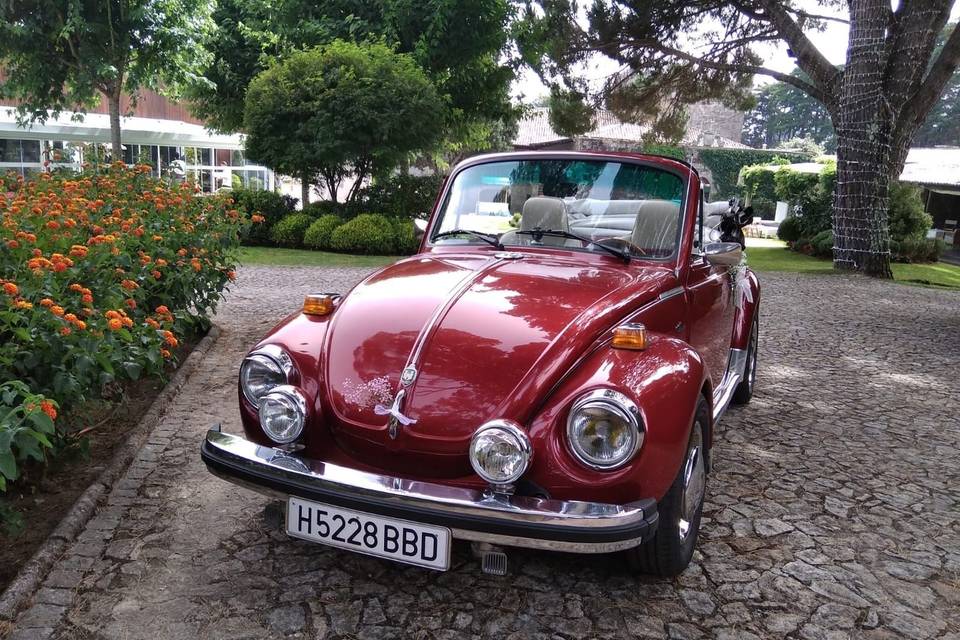 VW Escarabajo