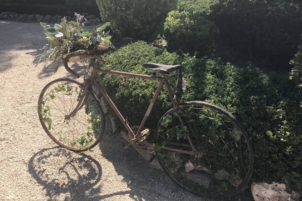 Bicicleta única