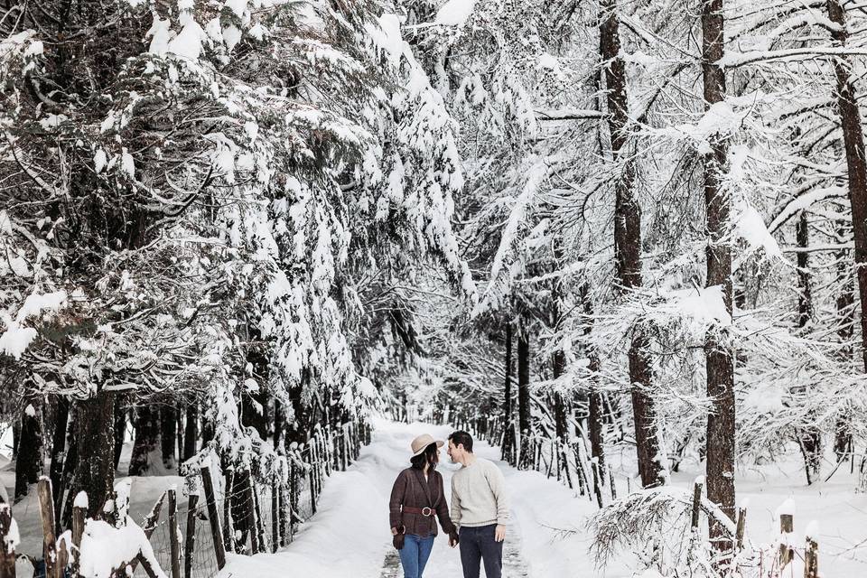 Preboda en invierno