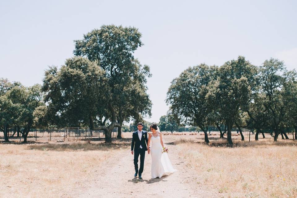 Boda en el campo