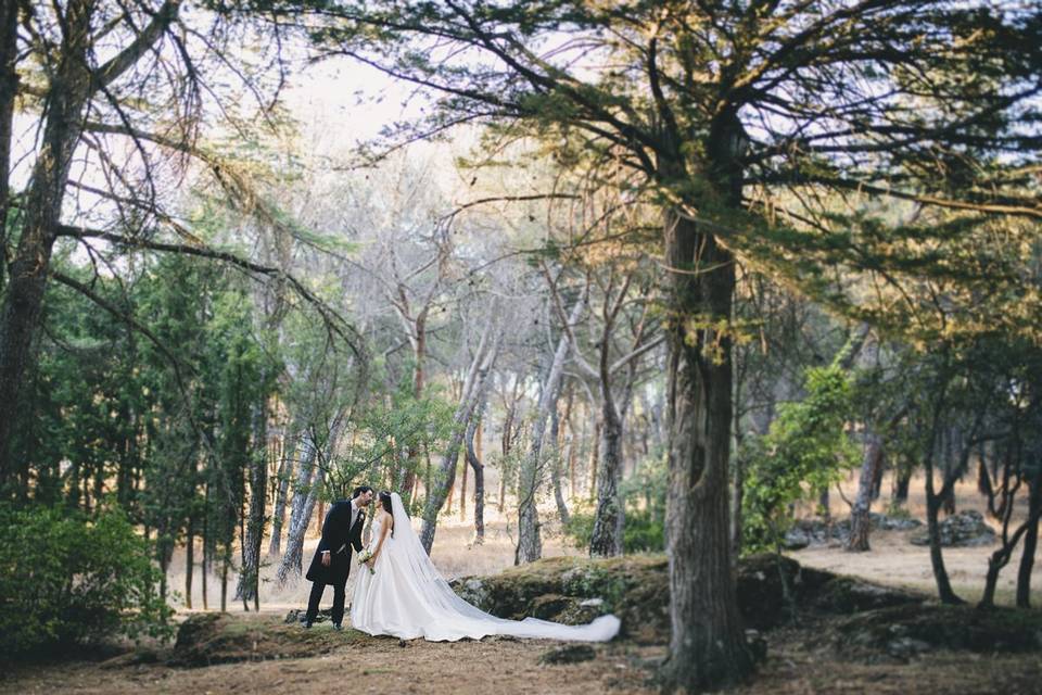 Pareja de novios