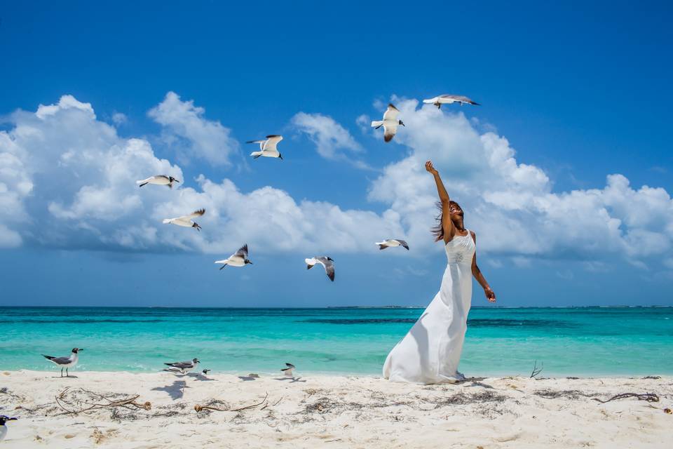 Postboda Los Roques