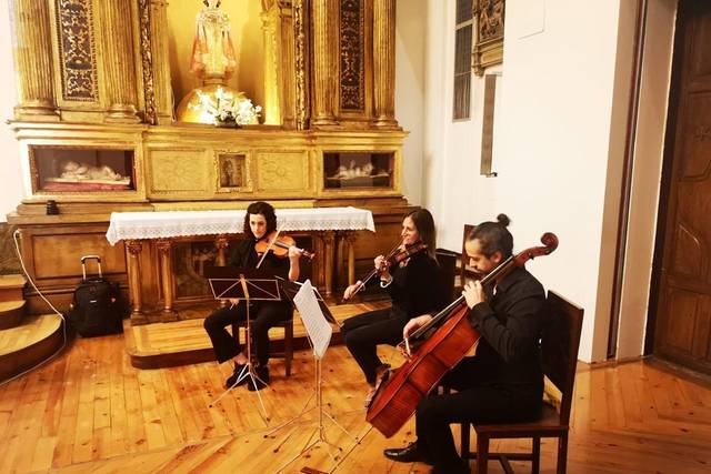 Instrumentos de cuerda