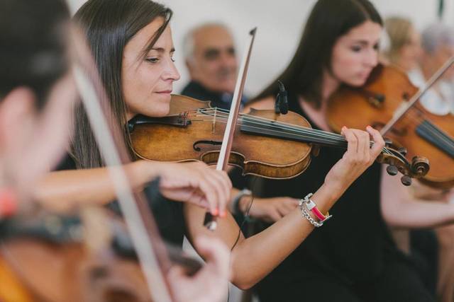 Violines