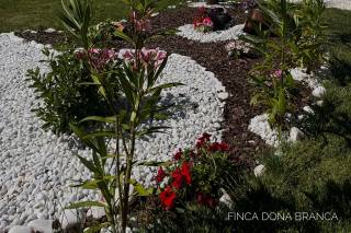 Finca Dona Branca