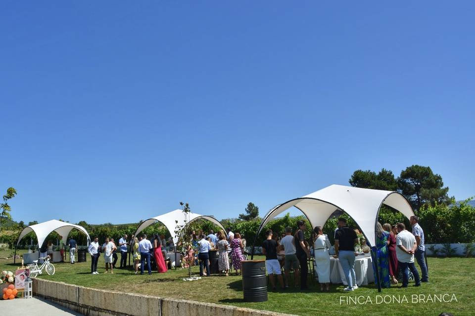 Aperitivo en el jardín