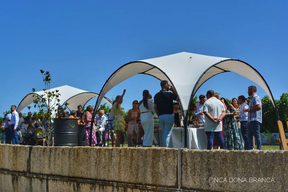 Aperitivo en el jardín