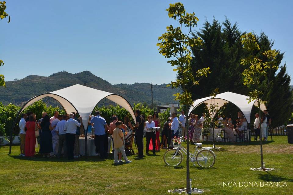 Aperitivo en el jardin