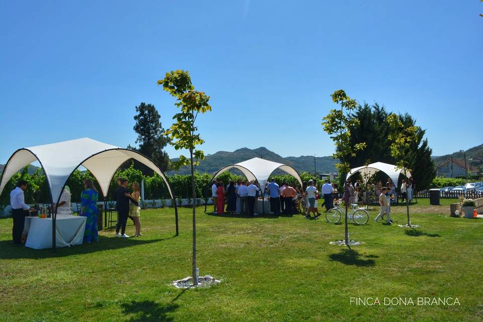 Aperitivo en el jardín