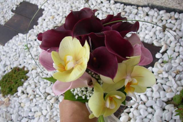 Calas y orquídeas