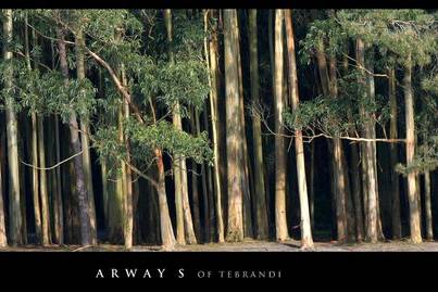 Arway S of Tebrandi