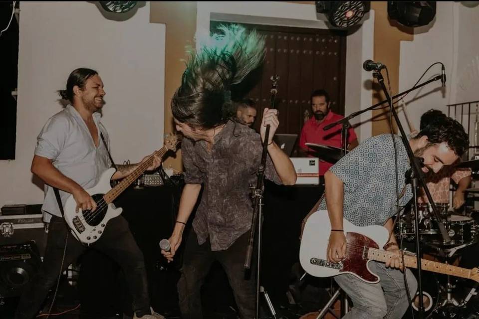 Vinilo's Boda
