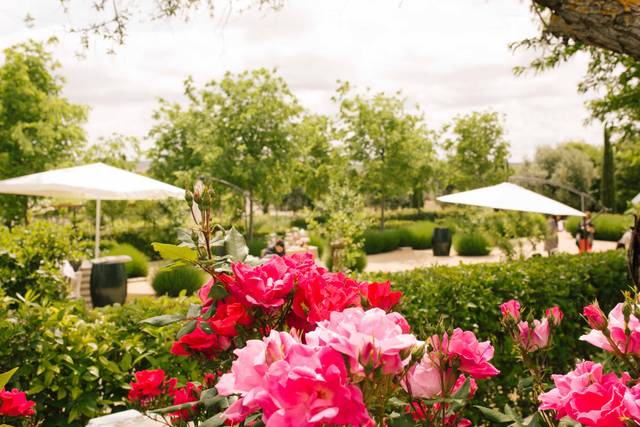 Jardin de la viña