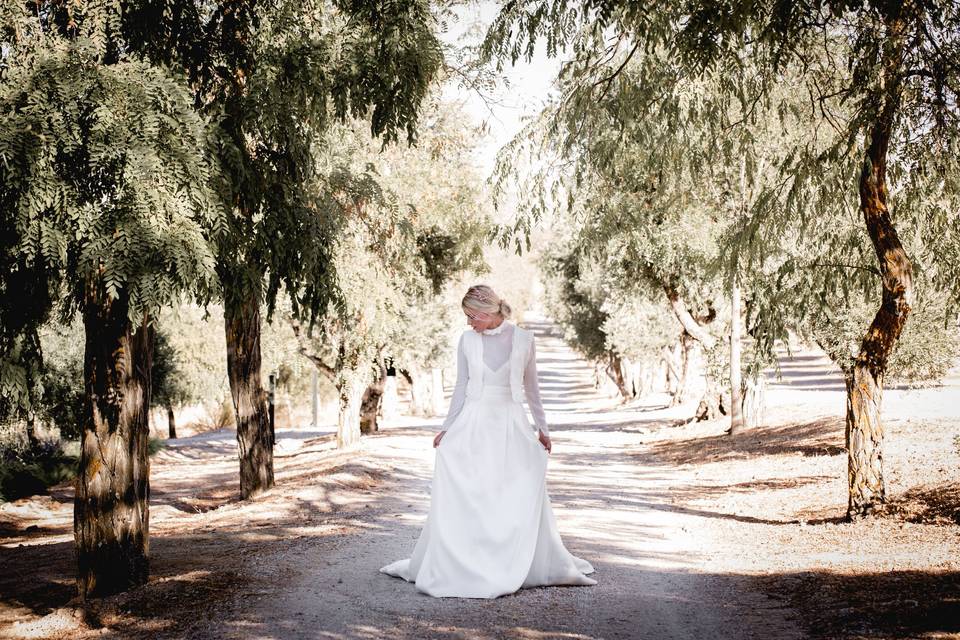 Novia en los olivos