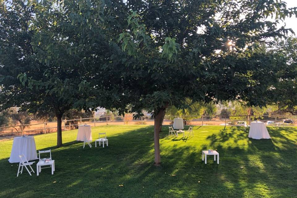 Zona de aperitivos