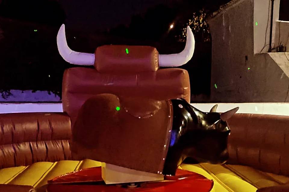 Toro