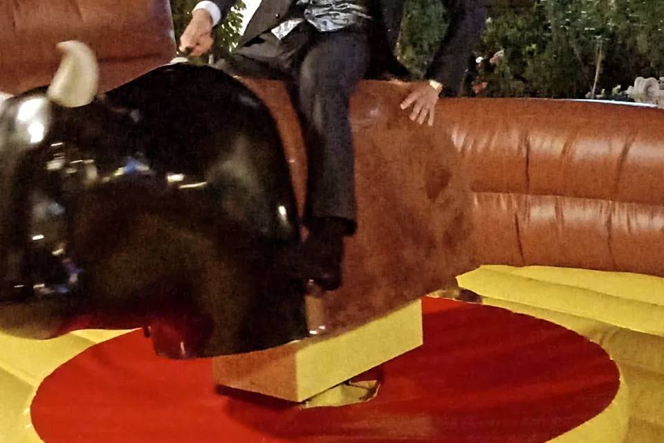 Toro novio