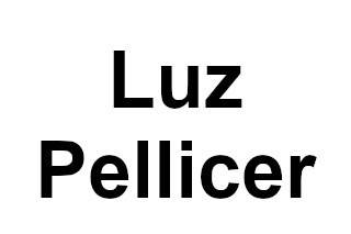 Luz Pellicer