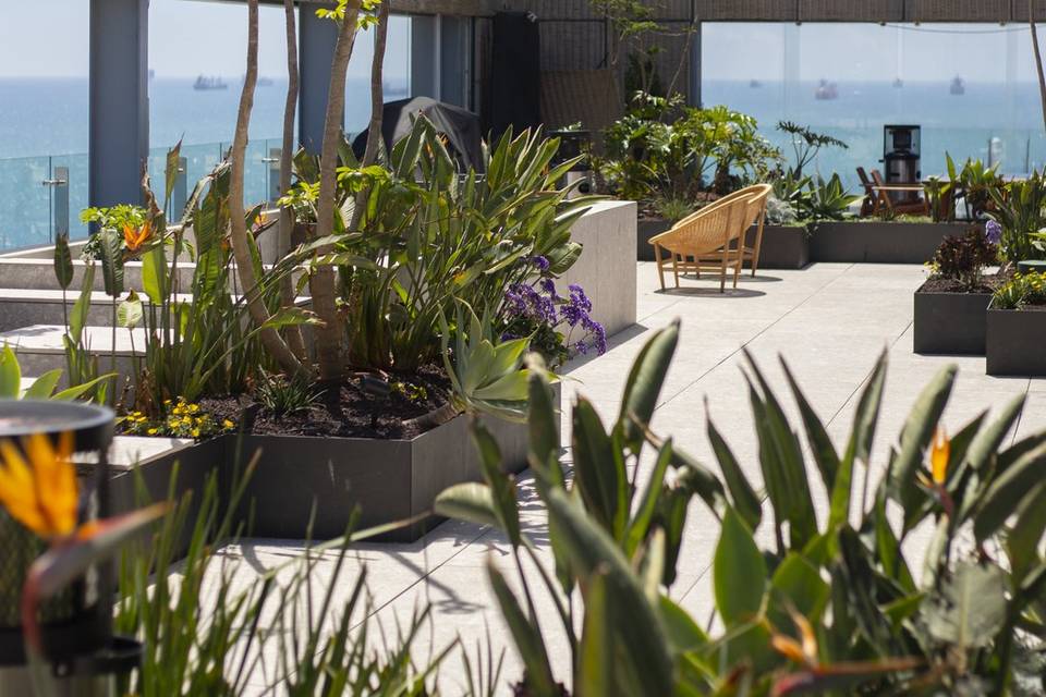 Terraza