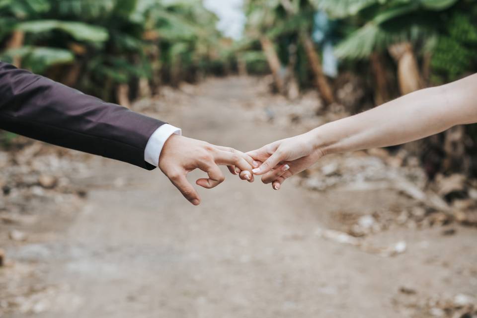 Postboda Tenerife 2018