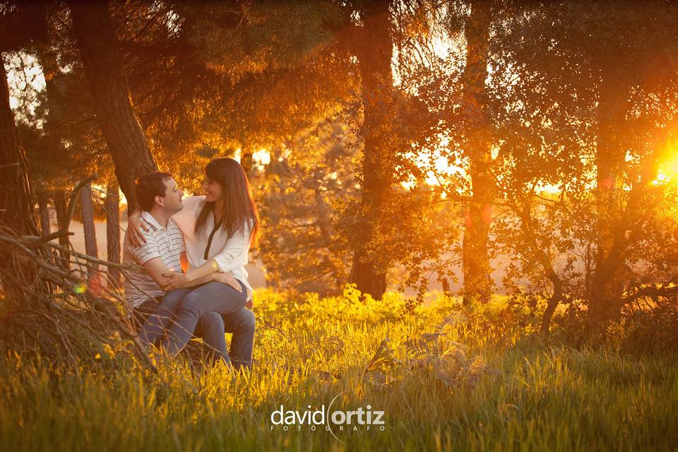 Davidortizfotografo©