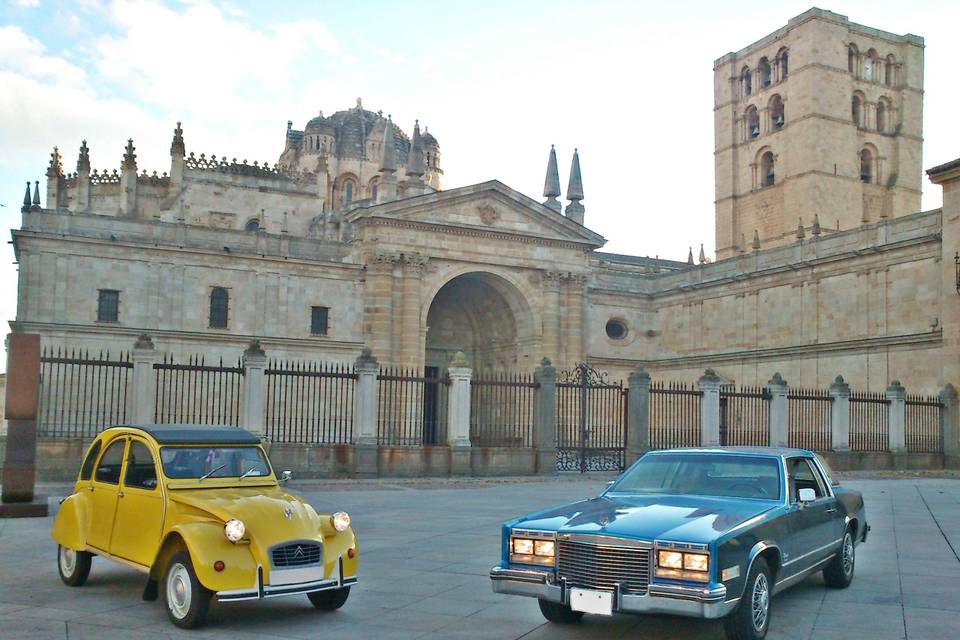 2cv en viñedo