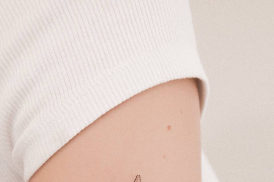 Estrella de mar