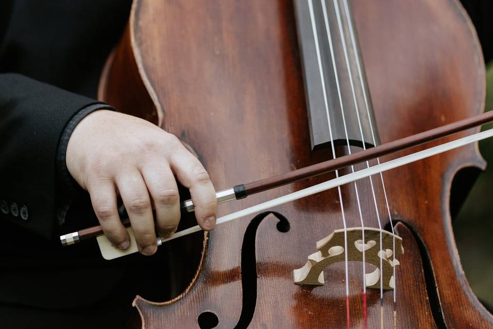 Violoncello