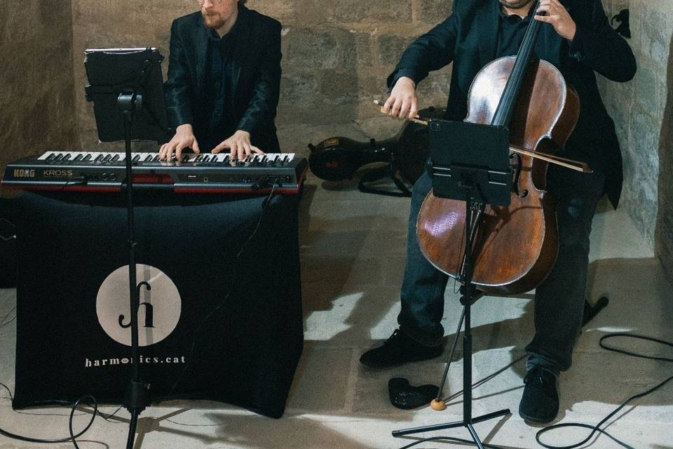 Piano & Violinchelo