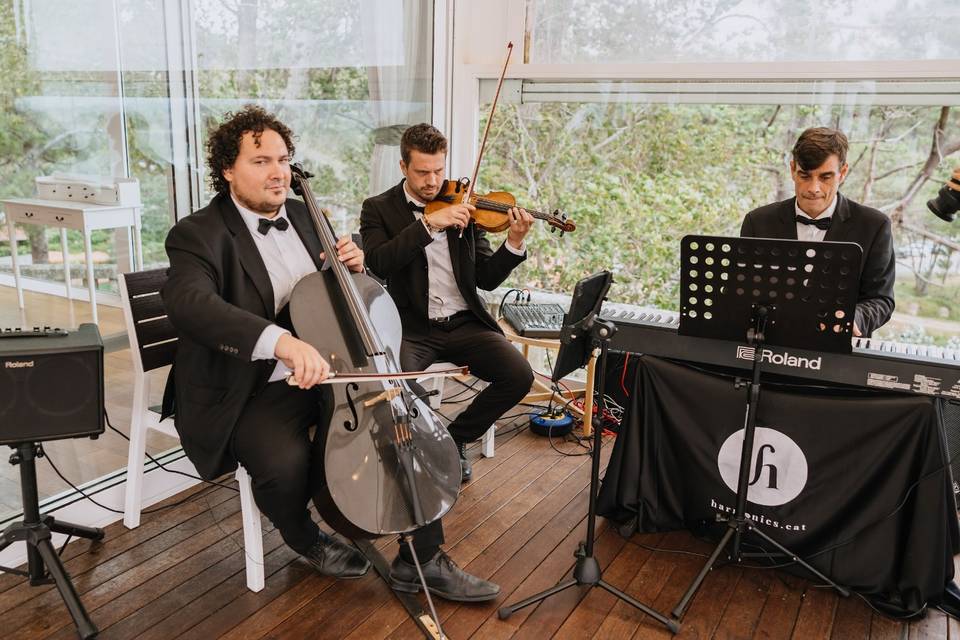 Trio violín, violoncello y pia