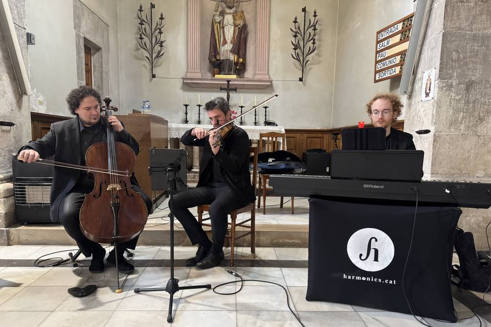 Trio violin, cello & piano