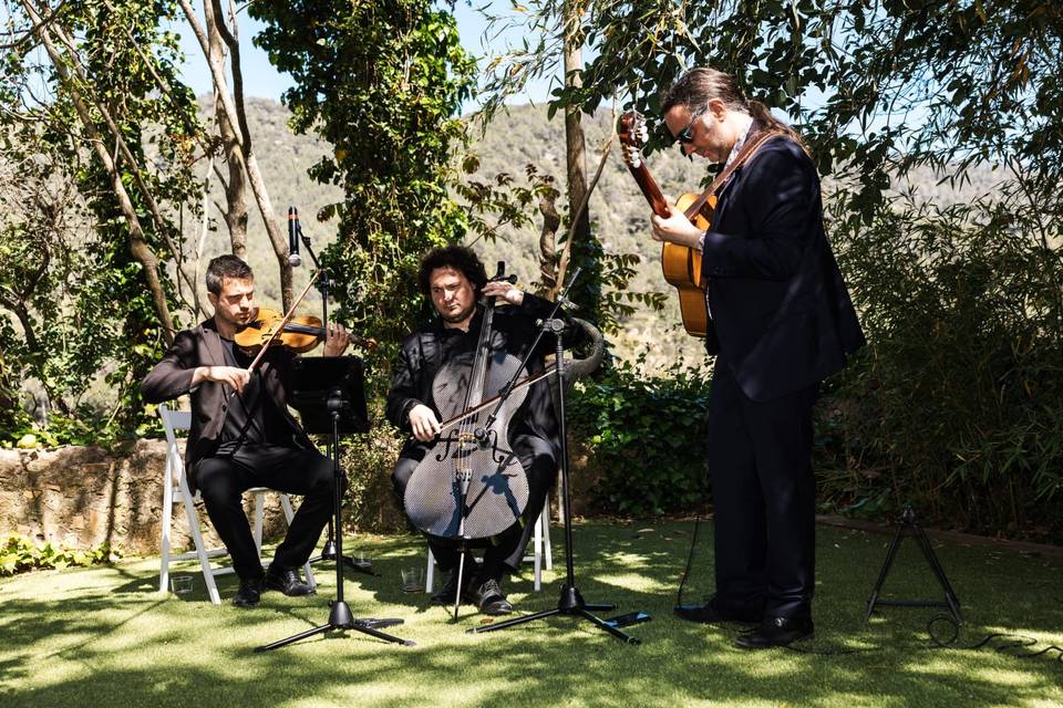 Violin Violoncello & Guitarra