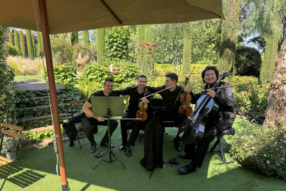 Cuarteto Clasico