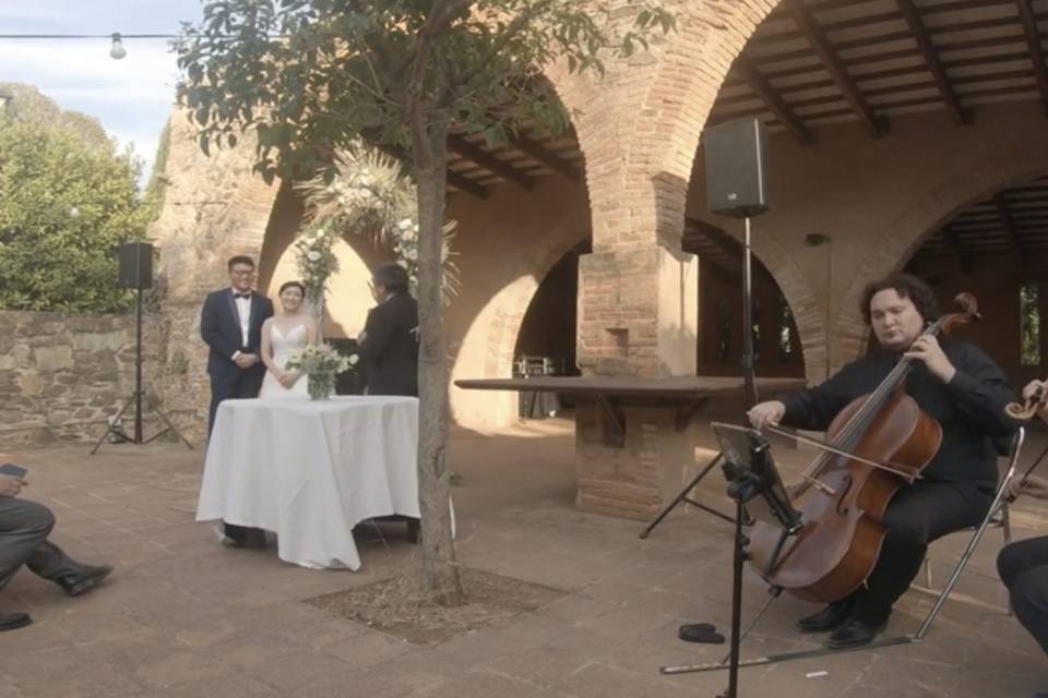 Violín y violoncello