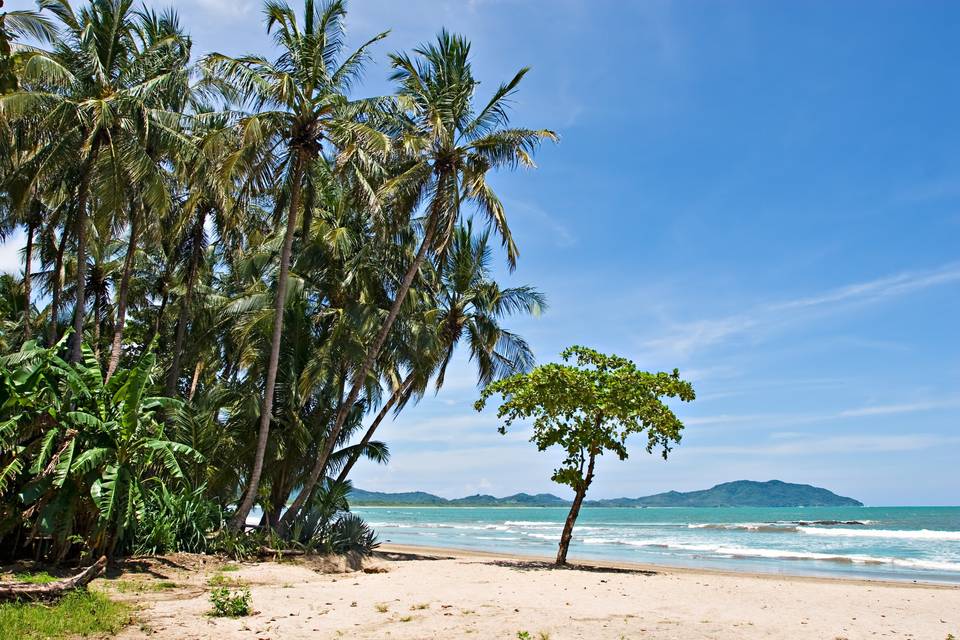 Playa Tamarindo - Costa Rica