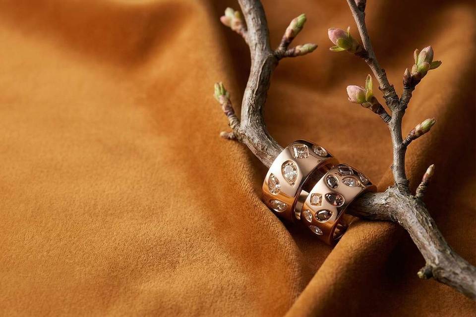 Anillos en Santi Pàmies